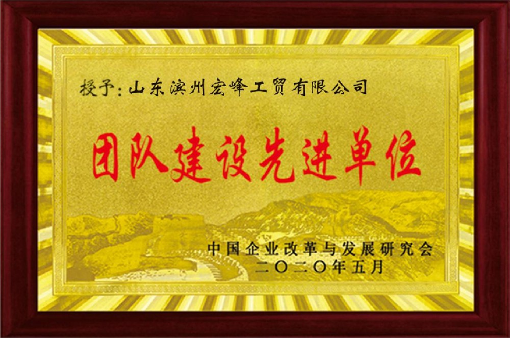 团队建设先进单位